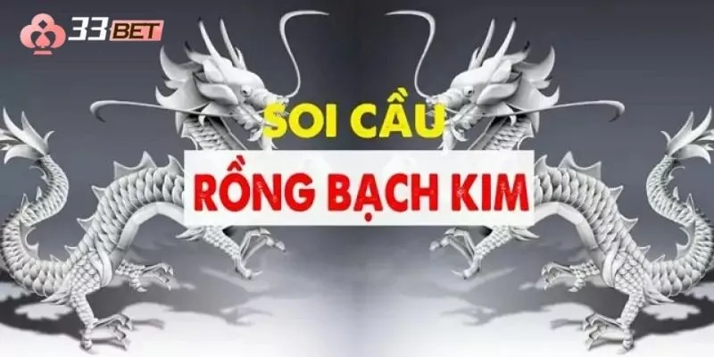 Soi cầu 247 rồng bạch kim theo lô rơi